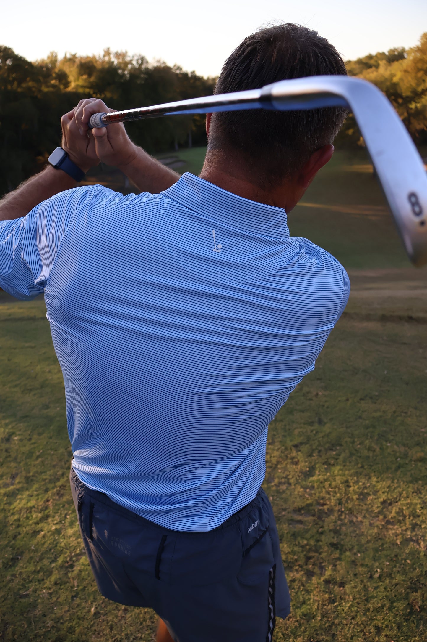Blue Stripe polo