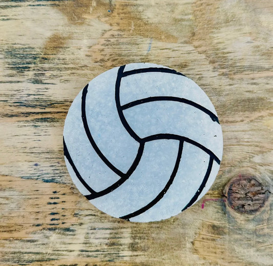 Volleyball freshie
